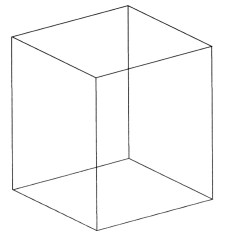Necker's Cube (1)